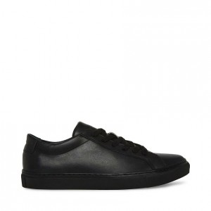 Tenis Steve Madden Bolo Low Top Hombre Negros | 8304796-ZG