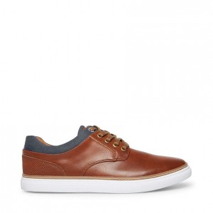 Tenis Steve Madden Gully Hombre Marrom | 2517493-TP