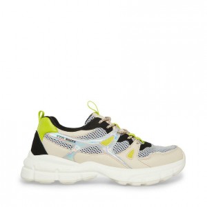 Tenis Steve Madden Jaxon Hombre Marrom Multicolor | 9134705-PQ