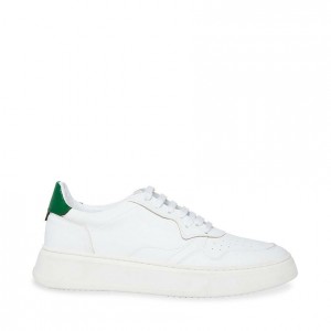 Tenis Steve Madden Jorgee Low Top Hombre Blancos Verdes | 7834096-AV