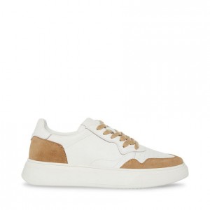 Tenis Steve Madden Jorgee Low Top Hombre Marrom | 3258079-UJ