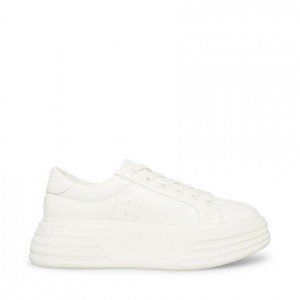 Tenis Steve Madden Mandy Lace Up Flatform Mujer Blancos | 4705831-PZ