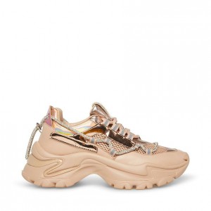 Tenis Steve Madden Miracles Mujer Rosas Multicolor | 5164739-AP
