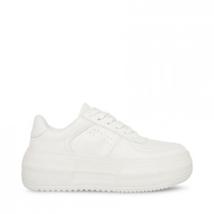 Tenis Steve Madden Perrin Low Top Mujer Blancos | 1932685-QB