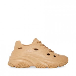 Tenis Steve Madden Possessive Clay Mujer Marrom | 2980314-ZM