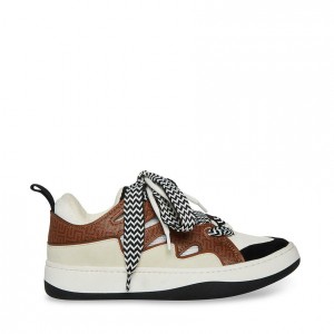 Tenis Steve Madden Roaring Low Top Mujer Marrom Multicolor | 0186345-ZL