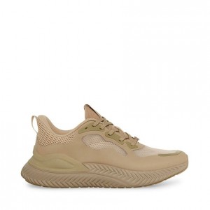 Tenis Steve Madden Salde Low Top Hombre Marrom | 9368071-UR
