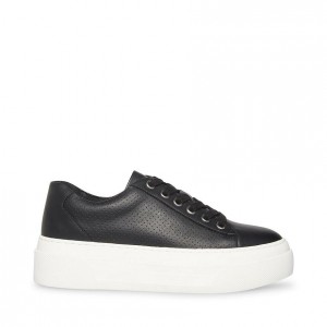 Tenis Steve Madden Studio Mujer Negros | 5620497-XV