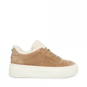 Tenis Steve Madden Studio-f Mujer Grises Marrom | 6290354-BW