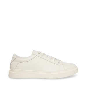 Tenis Steve Madden Tilton Hombre Blancos | 9438605-VS