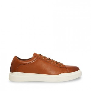 Tenis Steve Madden Tilton Hombre Marrom | 6302845-LS