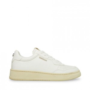 Tenis Steve Madden Tyler Mujer Blancos | 5841703-AQ