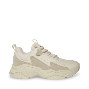 Tenis Steve Madden Wando Hombre Marrom | 1280954-IQ