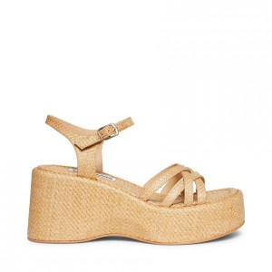 Zapatos Cuña Steve Madden Crazy 30 Strappy Mujer Marrom | 6182459-AO
