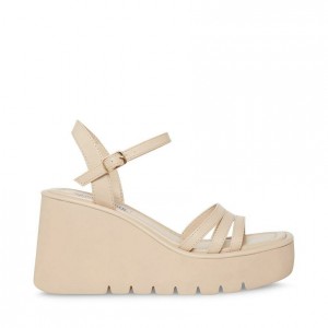 Zapatos Cuña Steve Madden Dane Mujer Beige | 6784539-CP