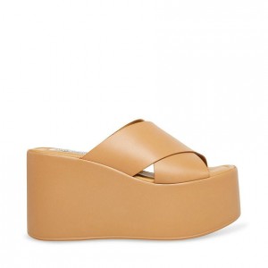 Zapatos Cuña Steve Madden Kody Mujer Marrom | 8709463-GL