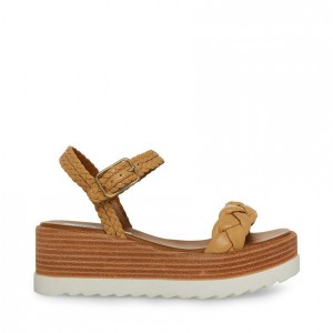 Zapatos Cuña Steve Madden Larsen Mujer Marrom | 0713894-MZ