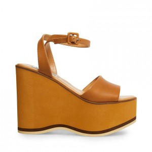 Zapatos Cuña Steve Madden Milan Mujer Marrom | 4709653-IE