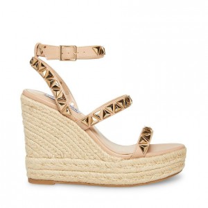 Zapatos Cuña Steve Madden Sessions Designer Mujer Marrom | 8913572-IZ