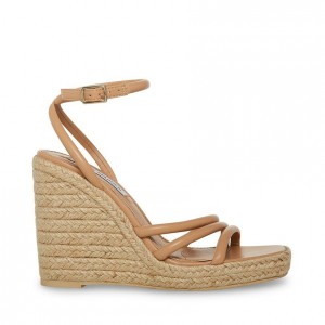 Zapatos Cuña Steve Madden Taylor Espadrille Mujer Marrom | 9715683-BO