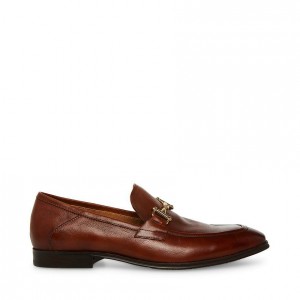 Zapatos de Vestir Steve Madden Archee Hombre Marrom | 6891720-BR