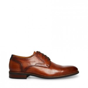 Zapatos de Vestir Steve Madden Bannon Hombre Marrom | 4532910-NG