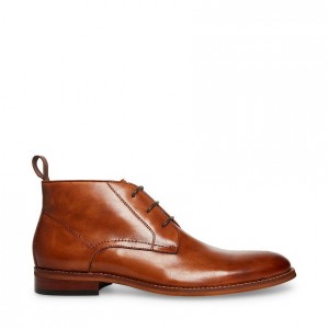 Zapatos de Vestir Steve Madden Favien Hombre Marrom | 2701846-NY