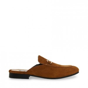 Zapatos de Vestir Steve Madden Mateo Mule Hombre Marrom | 8603492-FT