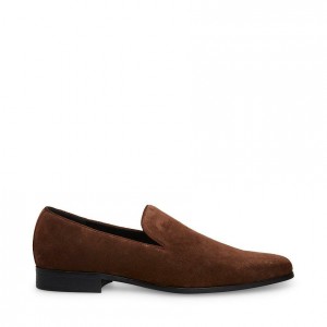 Zapatos de Vestir Steve Madden Parigi Hombre Marrom | 4791823-UM