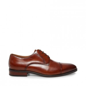 Zapatos de Vestir Steve Madden Plot Hombre Marrom | 6419053-PK