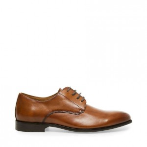 Zapatos de Vestir Steve Madden Prey Hombre Marrom | 0985267-HW