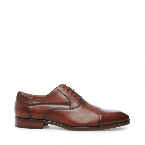 Zapatos de Vestir Steve Madden Proctor Hombre Marrom | 9082567-TW