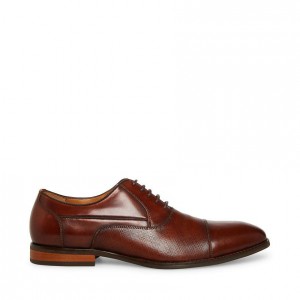 Zapatos de Vestir Steve Madden Proctor-r Hombre Marrom | 5607381-QX