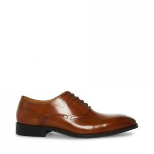 Zapatos de Vestir Steve Madden Zate Lace Up Hombre Marrom | 2310875-HN